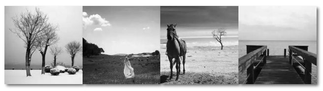 嘿,520长江,我想为你唱首歌